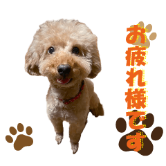[LINEスタンプ] シンプル①20250728