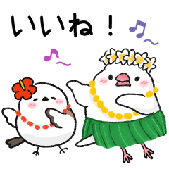 [LINEスタンプ] もち文鳥とシマエナガちゃんの夏★