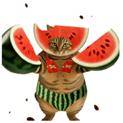 [LINEスタンプ] 動く！ぽちゃねことフルーツと水着の夏