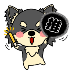 [LINEスタンプ] ゆるいチワワ(ブラックタン)