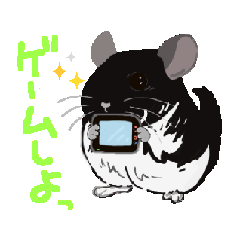 [LINEスタンプ] 動く！チンチラちゃんがいっぱい
