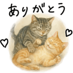 [LINEスタンプ] ◉使いたくなる猫◉長毛＆短毛