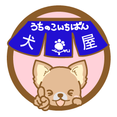 [LINEスタンプ] 【犬屋】うちの子1番(チワワ)