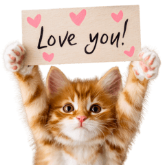[LINEスタンプ] ♡子猫たちのお願いスタンプ♡