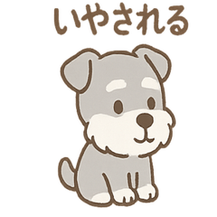 [LINEスタンプ] 毎日使えるたたずみシュナのんびりスタンプ