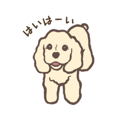 [LINEスタンプ] アメリカンコッカースパニエルのはなちゃん