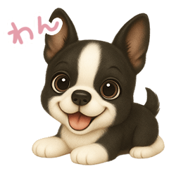 [LINEスタンプ] わんで伝えるボストンテリア JP fetchpriority=high