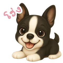 [LINEスタンプ] わんで伝えるボストンテリア TH fetchpriority=high