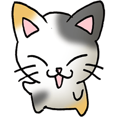 [LINEスタンプ] 猫のスタンプ その19