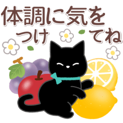 [LINEスタンプ] サクサク使える❤黒猫さん3