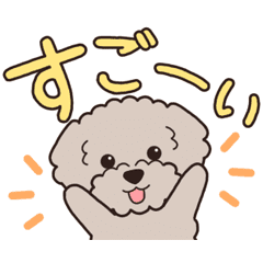 [LINEスタンプ] 『トイプードル』毎日使えるデカ文字．4