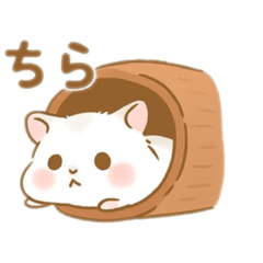 [LINEスタンプ] 白いハムスター 日本語 
