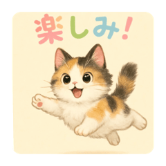 [LINEスタンプ] ねこーーー！！