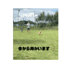 [LINEスタンプ] バオちんのスタンプ  part2 