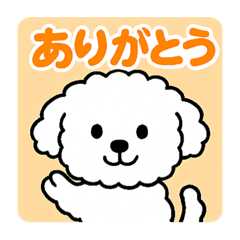 [LINEスタンプ] 毎日使える☆もふもふワンちゃんスタンプ 2