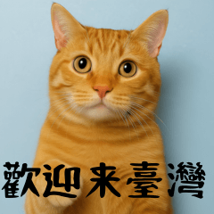 [LINEスタンプ] 小花達のちょい笑スタンプ（台湾華語）