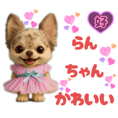 [LINEスタンプ] AIチワワのらんちゃん私的日常会話編