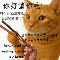 [LINEスタンプ] 小花達の台湾猫ミームスタンプ