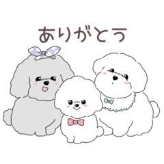 [LINEスタンプ] もちこフレンズ