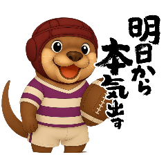 [LINEスタンプ] カワウソさんラグビー初めました