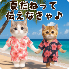 [LINEスタンプ] 夏♡エッホエッホ♪ネコたちにゃんだふる～