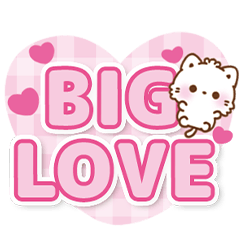 [LINEスタンプ] 愛が詰まったデカ文字＊もこねこ