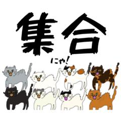 [LINEスタンプ] 【デカ文字】やんのか？主張やや強め猫