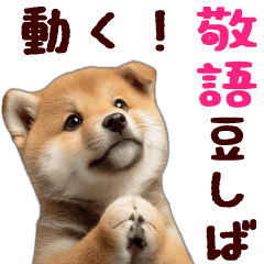 [LINEスタンプ] 動く！優しい敬語のまめしば
