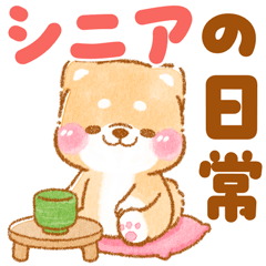 [LINEスタンプ] シニアの日常❤️いやしばいぬ❤️柴犬/敬語