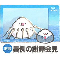 [LINEスタンプ] 文鳥ニュース