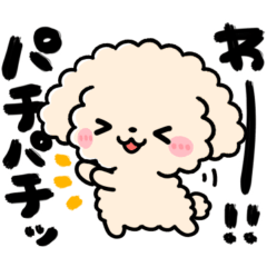 [LINEスタンプ] トイプードル♡筆文字リアクション
