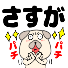 [LINEスタンプ] 【デカ文字】パグ犬のぱーちゃん85