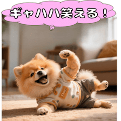 [LINEスタンプ] ポメちゃんのラブリートーク
