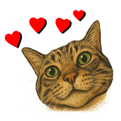 [LINEスタンプ] 鯖猫ジャック