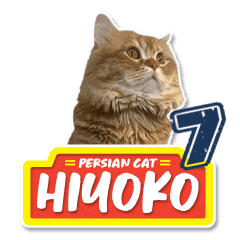 [LINEスタンプ] ペルシャ猫 ひよこ スタンプ 7