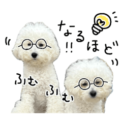 [LINEスタンプ] もめちら すたんぷ