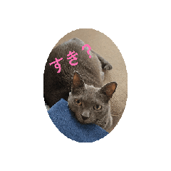 [LINEスタンプ] ペニーのまいにち 