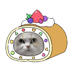 [LINEスタンプ] うごくぷるるんちっち