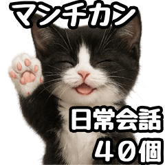 [LINEスタンプ] 日常会話verマンチカン4