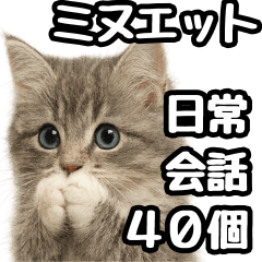 [LINEスタンプ] 日常会話verミヌエット
