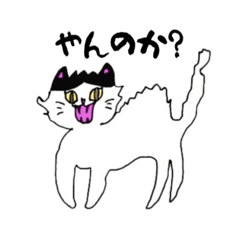 [LINEスタンプ] やんのか？しゃーッ猫