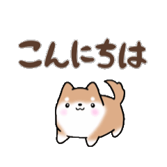 [LINEスタンプ] 【動く】まるまる豆柴の挨拶・喜びスタンプ