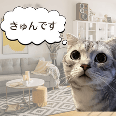 [LINEスタンプ] 長崎弁だいたいよかっちゃない