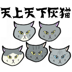 [LINEスタンプ] イカ耳で怒る灰色にゃんず