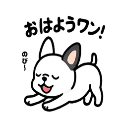 [LINEスタンプ] 真っ白ボストンテリアの日常
