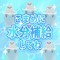 [LINEスタンプ] キラキラ☆でか文字夏スタンプ