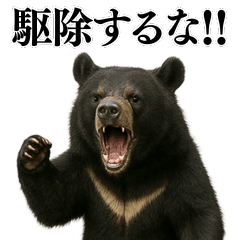 [LINEスタンプ] 【爆笑】おもしろ台詞リアル熊の日常会話