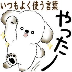 [LINEスタンプ] 犬さん 2025 「飛び出す」よく使う言葉