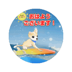 [LINEスタンプ] 動く！チワワちゃん