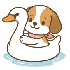 [LINEスタンプ] ビーグル犬ビビちゃんの夏スタンプ